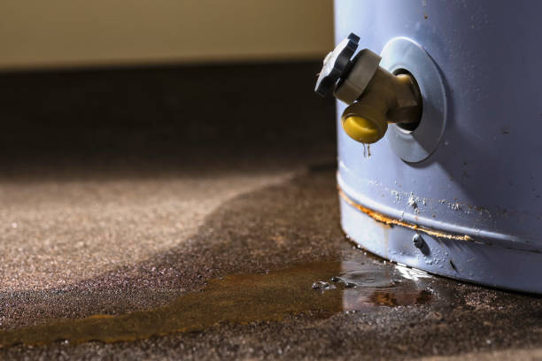 Best Emergency water extraction  in Tierra Verde, FL