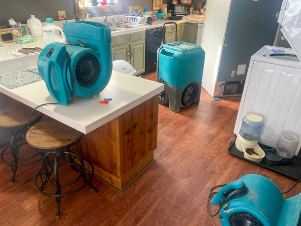 Best Water damage cleanup near me  in Tierra Verde, FL