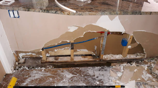 Best Flooded house restoration  in Tierra Verde, FL