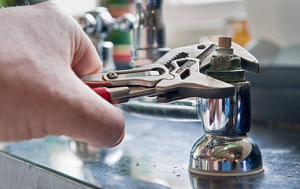 Best Mold removal after water damage  in Tierra Verde, FL