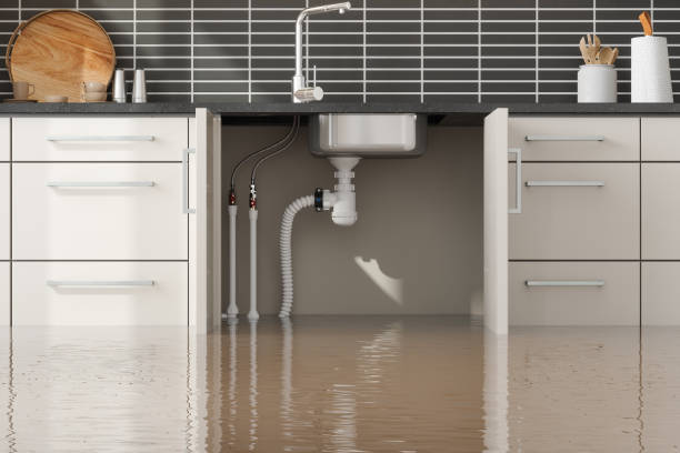 Best Residential water damage restoration  in Tierra Verde, FL